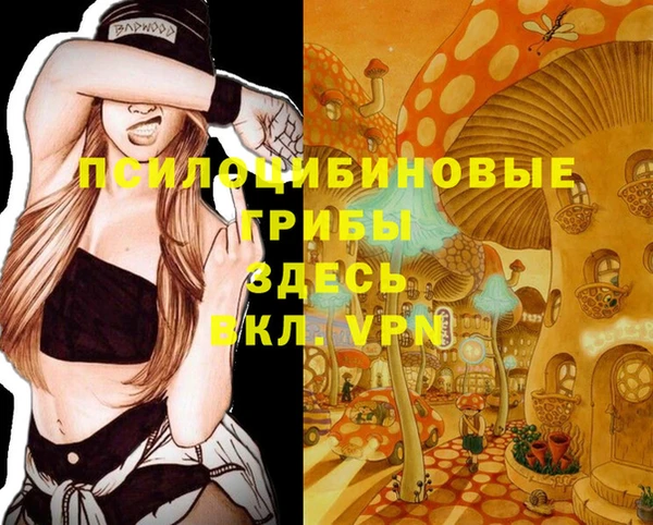 ешки Бородино