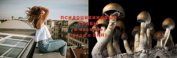 ешки Бородино
