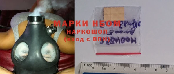 ешки Бородино