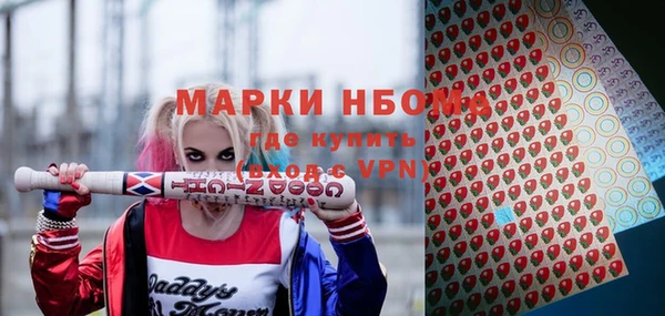 ешки Бородино