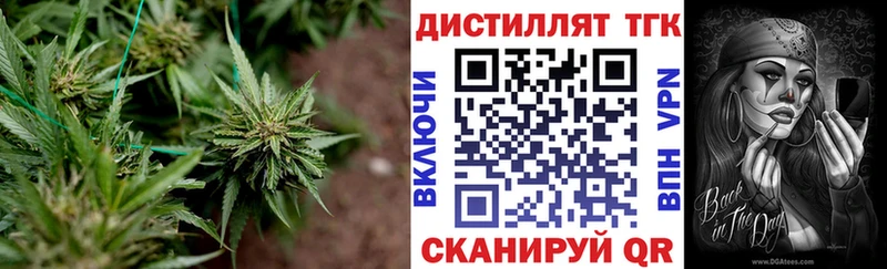 Купить закладки  Аткарск  Дистиллят ТГК концентрат 