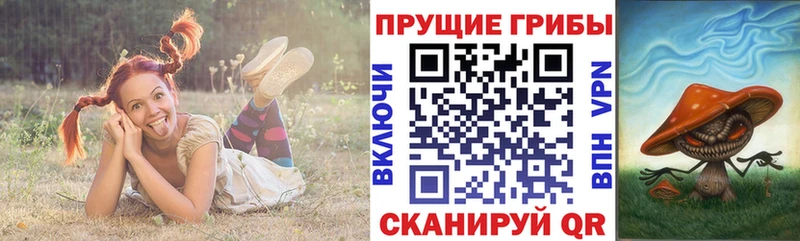 Галлюциногенные грибы GOLDEN TEACHER  Купить закладки  Аткарск 